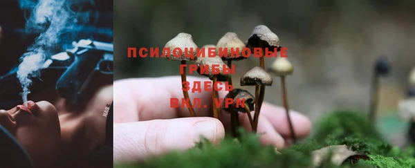 apvp Ростов