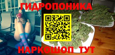 тгк Кандалакша