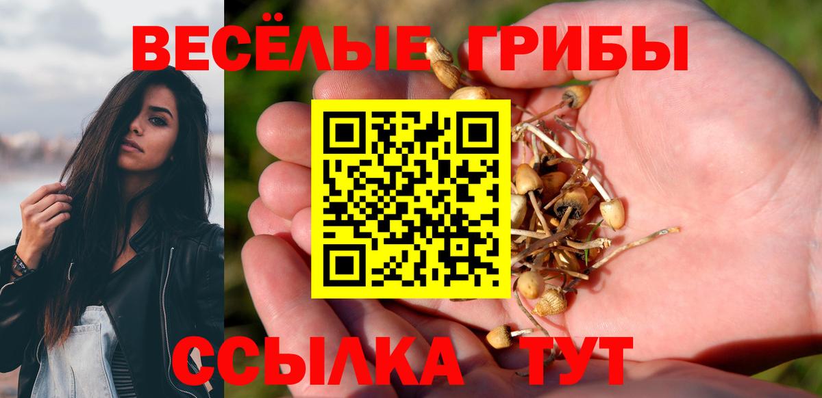 Альфа ПВП Татарск